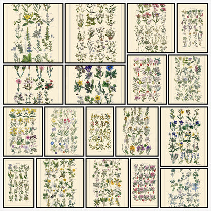 A snapshot of some of the images