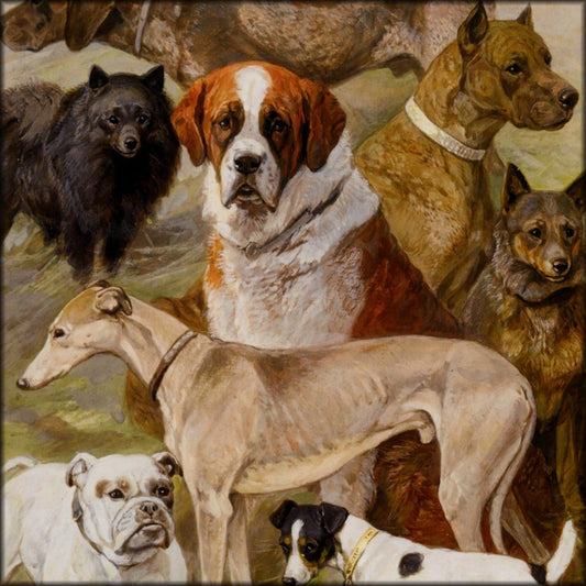 Digital Download - 1 image