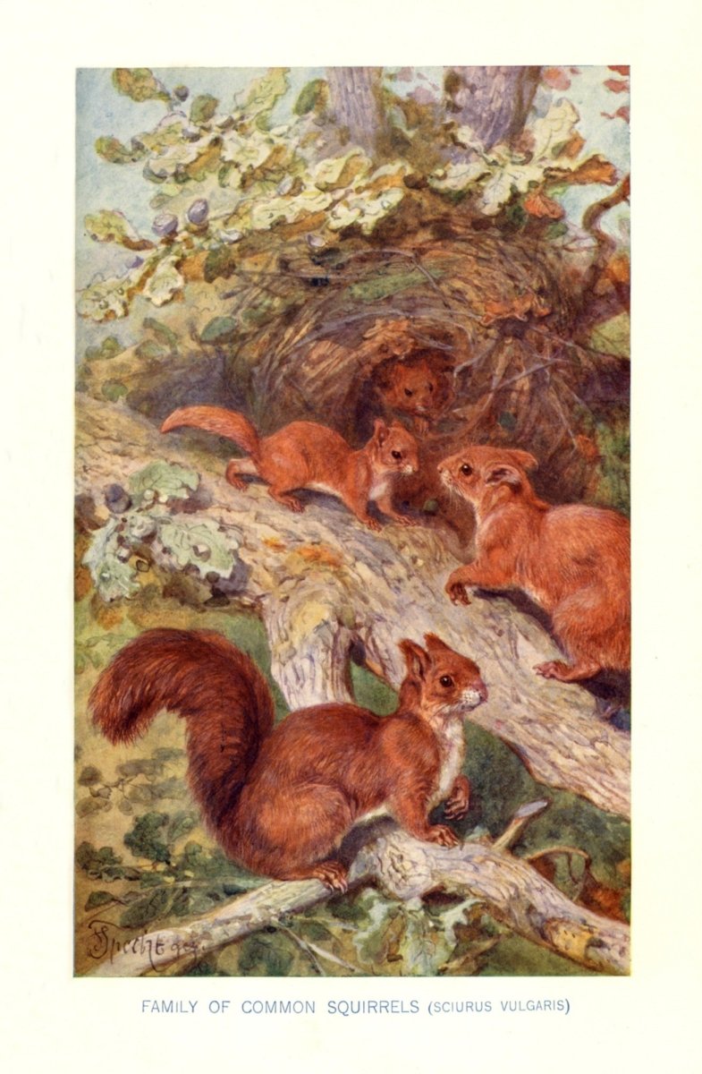 Dimensions 3486 x 5327 pixels