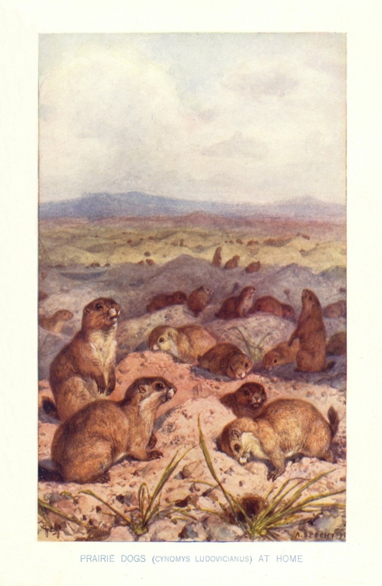 Dimensions 3392 x 5192 pixels