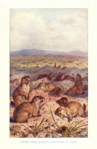 Dimensions 3392 x 5192 pixels