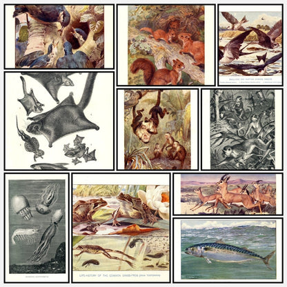 A snapshot of the images