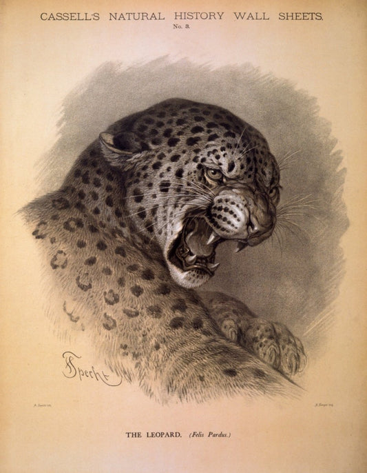 Dimensions 4220 x 5430 pixels