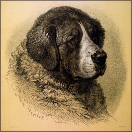 Digital Download - 1 image