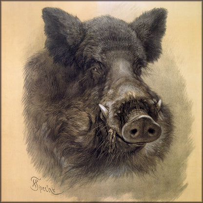 Digital Download - 1 image