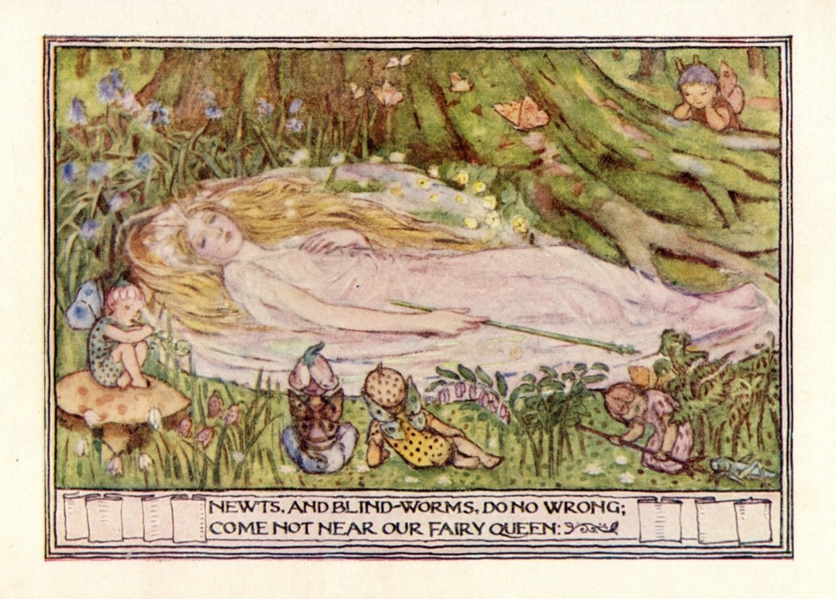 Dimensions 4160 x 2980 pixels