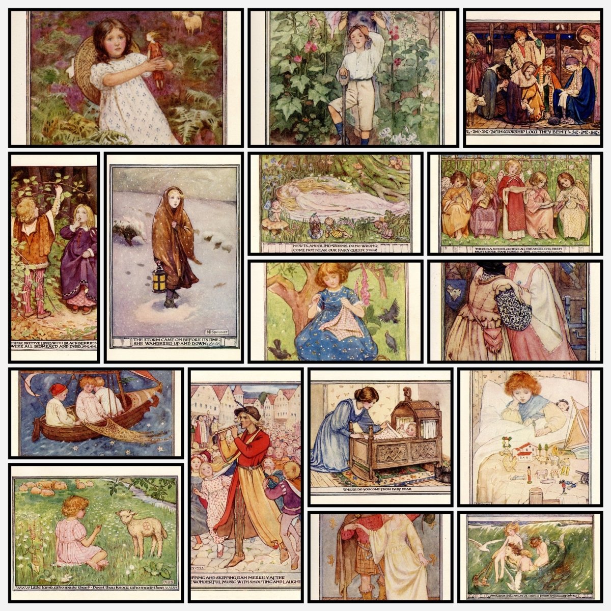 A snapshot of the images