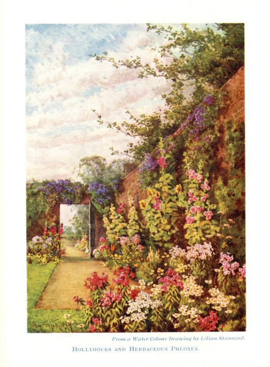 Dimensions 2874 x 3906 pixels