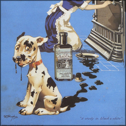 George Studdy - Ad for James Waddicor's Jet Black Enamel | Digital Download - 1 image