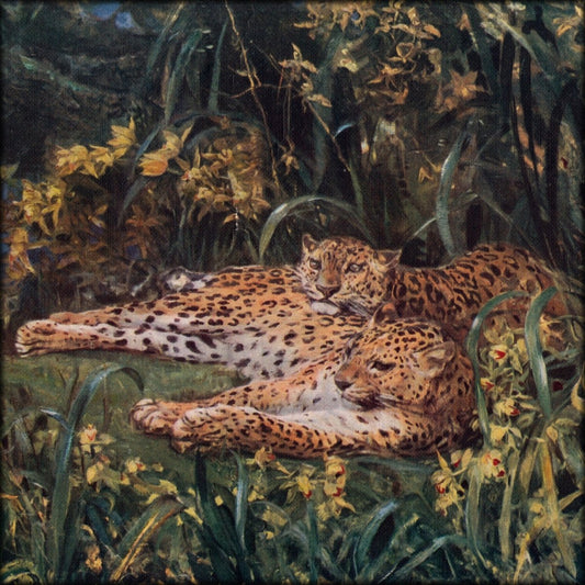 Digital Download - 1 image