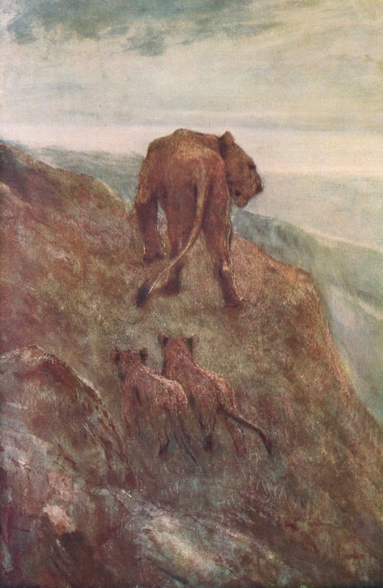 Dimensions 4170 x 6400 pixels