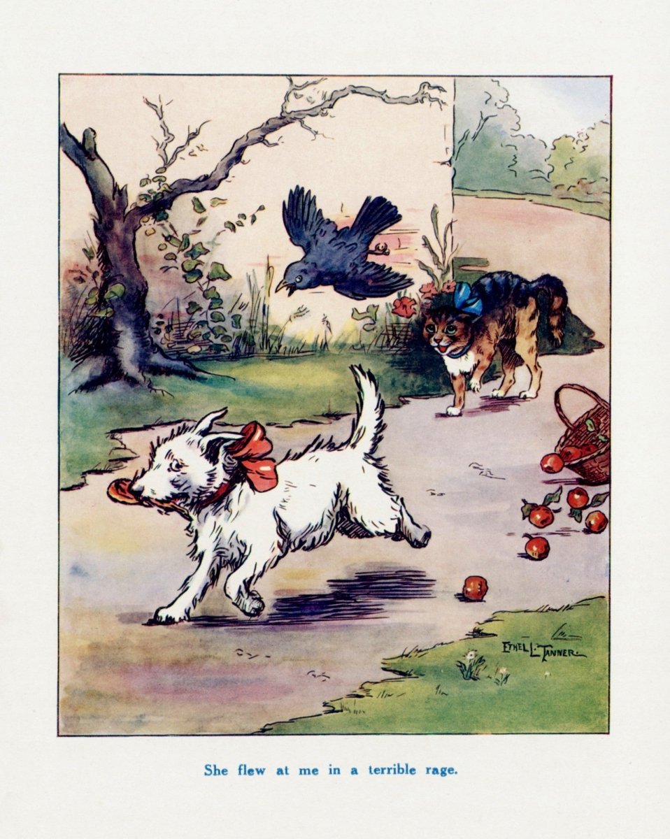 Dimensions 4563 x 5715 pixels