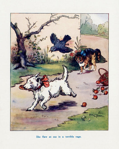 Dimensions 4563 x 5715 pixels