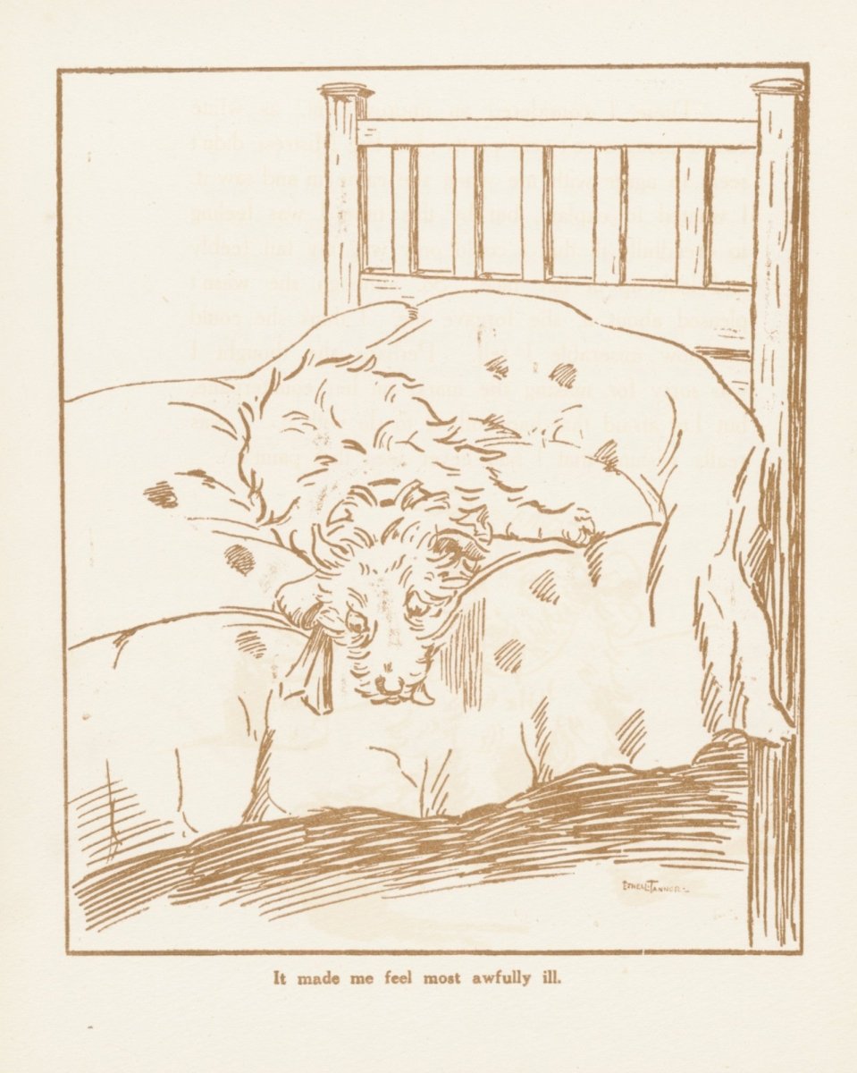 Dimensions 4896 x 6129 pixels