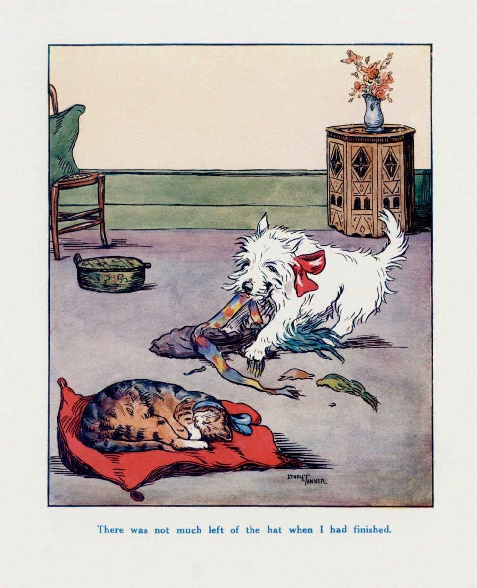 Dimensions 4692 x 5784 pixels