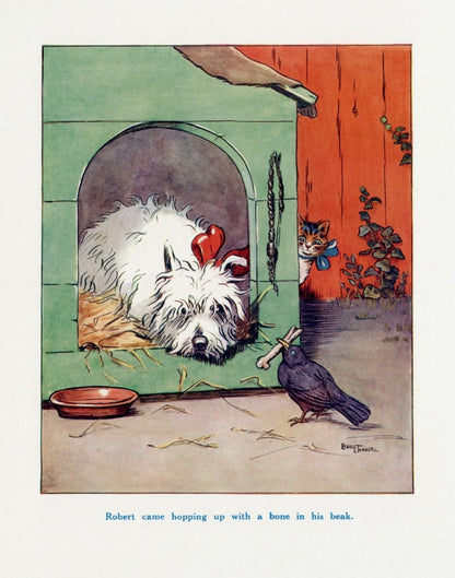 Dimensions 4620 x 5870 pixels