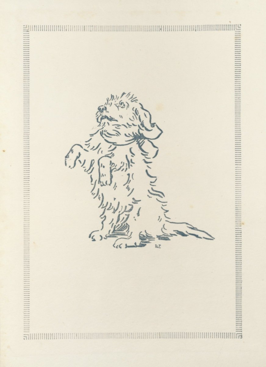 Dimensions 4344 x 5976 pixels