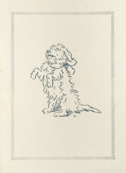 Dimensions 4344 x 5976 pixels