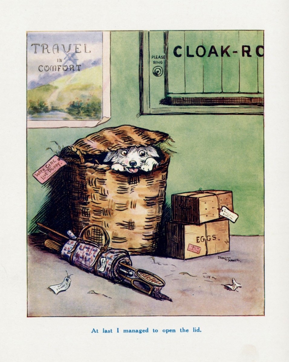 Dimensions 4580 x 5750 pixels