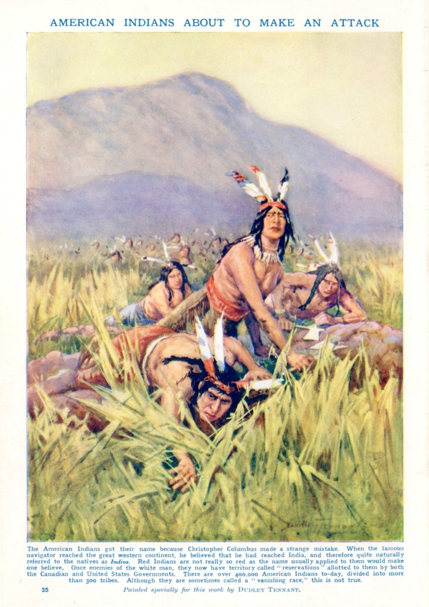 Dimensions 4010 x 5670 pixels