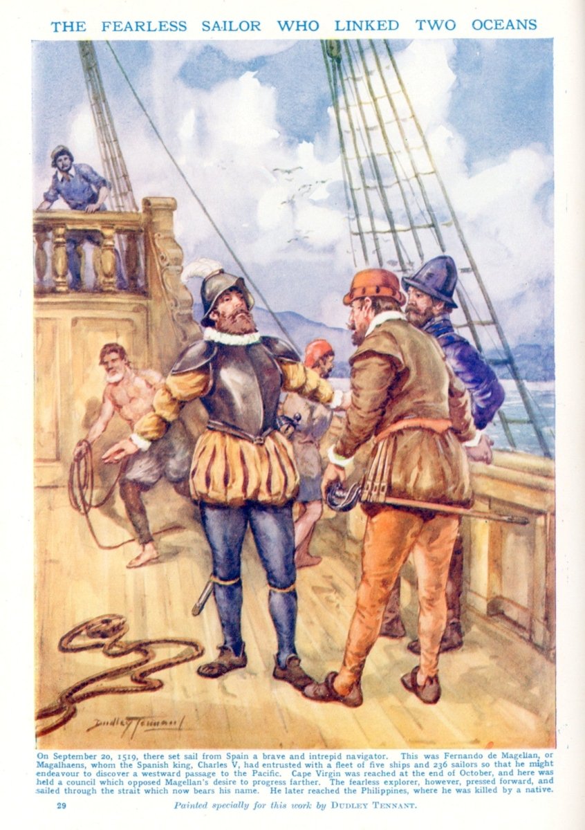 Dimensions 3996 x 5670 pixels