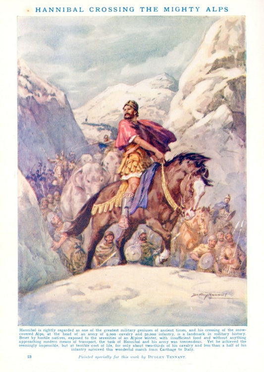 Dimensions 4077 x 5733 pixels