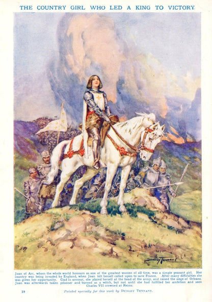 Dimensions 3952 x 5624 pixels