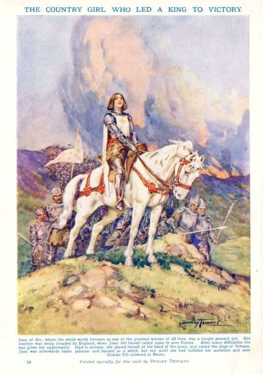 Dimensions 3952 x 5624 pixels