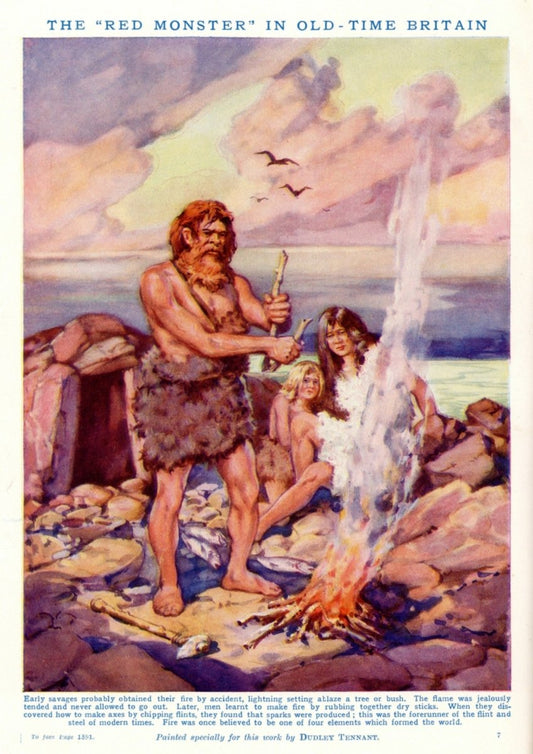 Dimensions 3924 x 5553 pixels