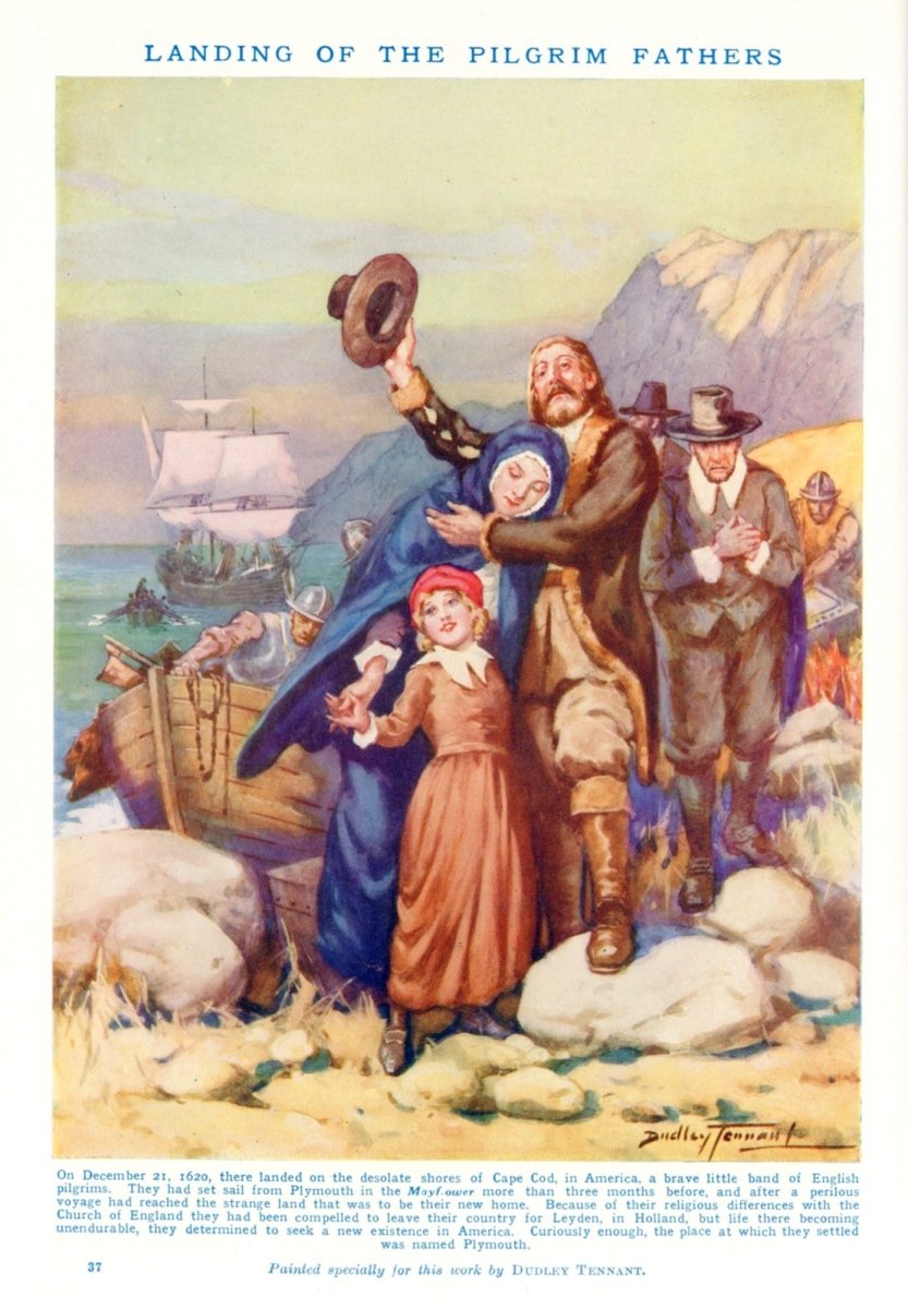 Dimensions 3980 x 5730 pixels