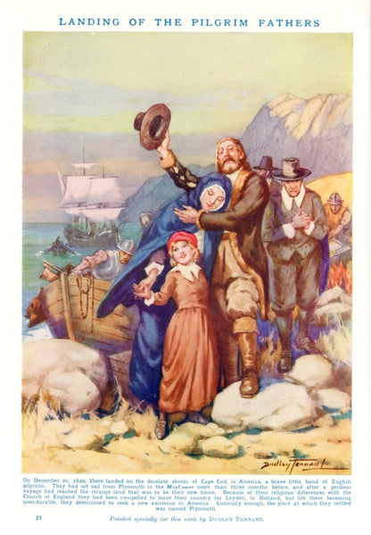 Dimensions 3980 x 5730 pixels