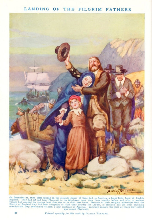 Dimensions 3980 x 5730 pixels