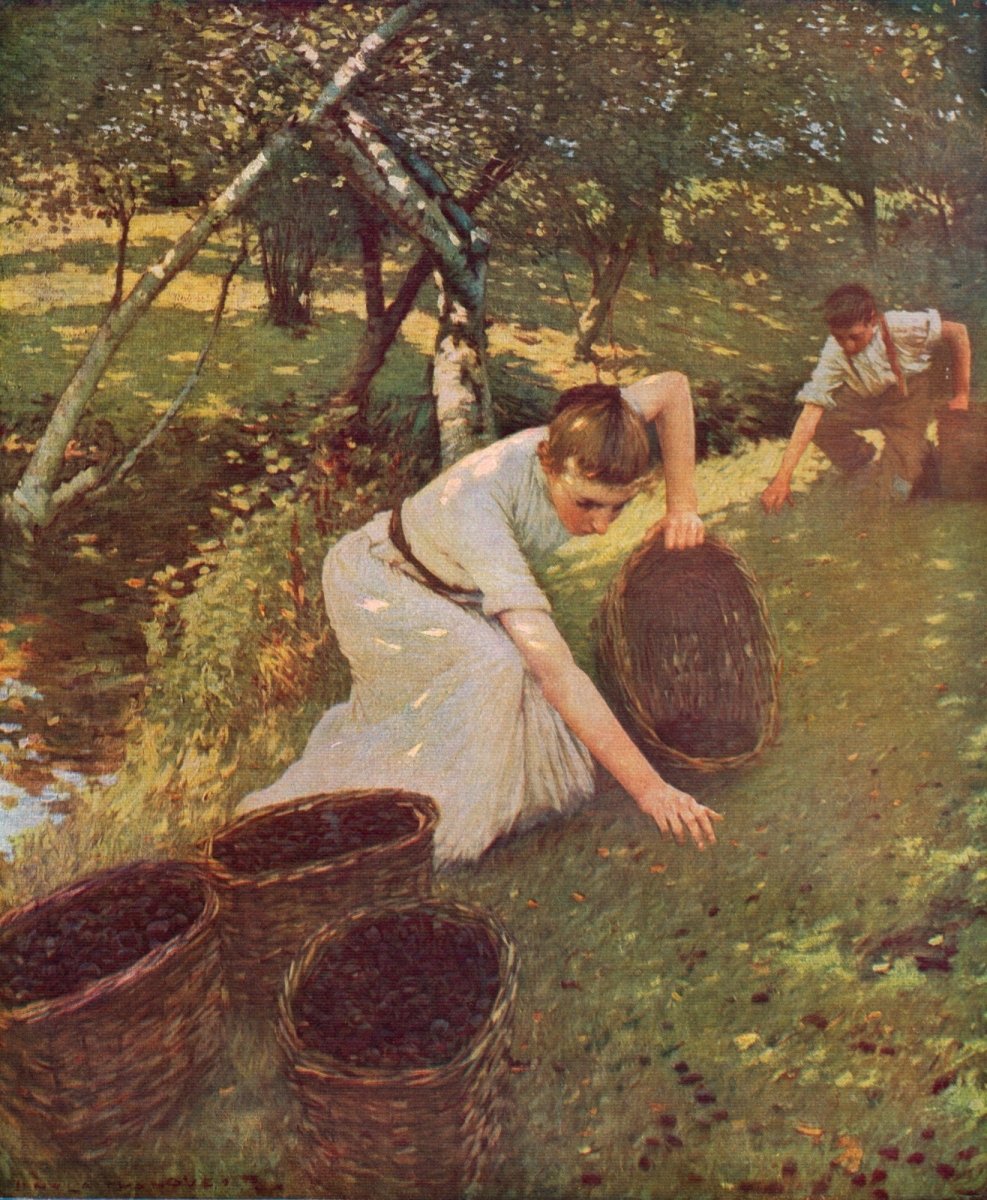 Dimensions 4304 x 5232 pixels