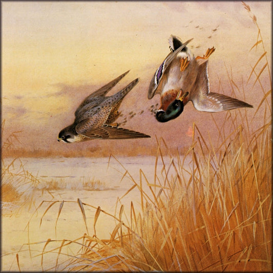 Digital Download - 1 image