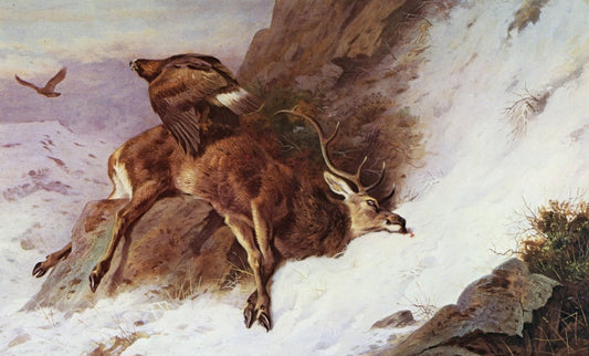 Dimensions 6620 x 4000 pixels