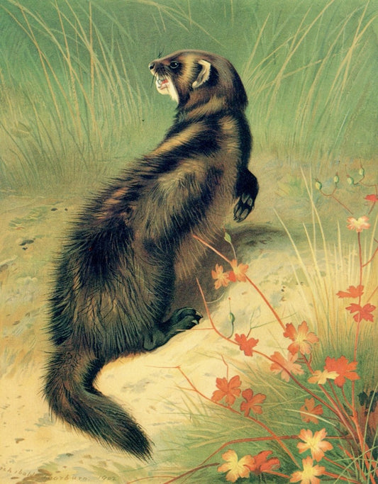 Dimensions 5076 x 6504 pixels