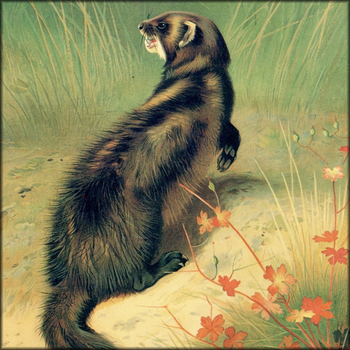 Digital Download - 1 image