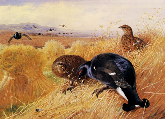 Dimensions 6360 x 4590 pixels