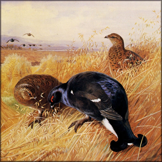 Digital Download - 1 image