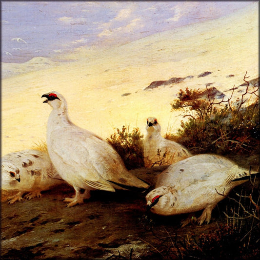 Digital Download - 1 image