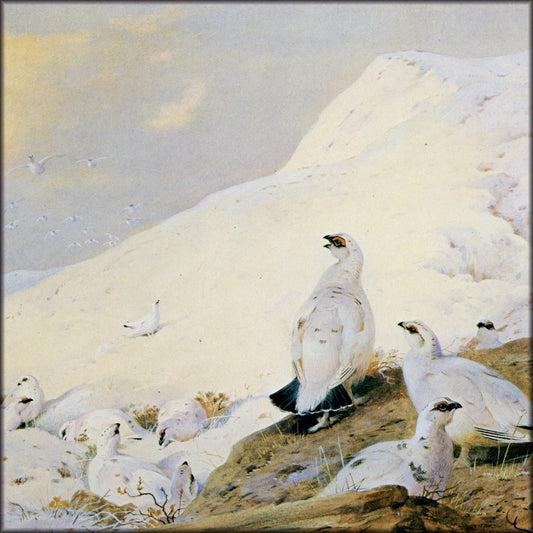 Digital Download - 1 image