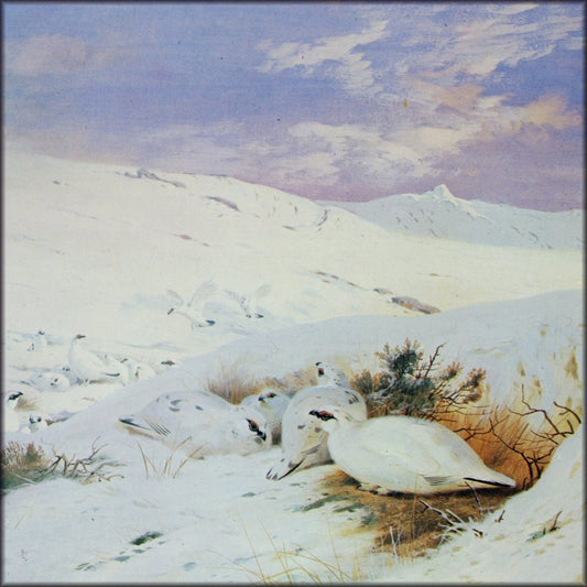 Digital Download - 1 image