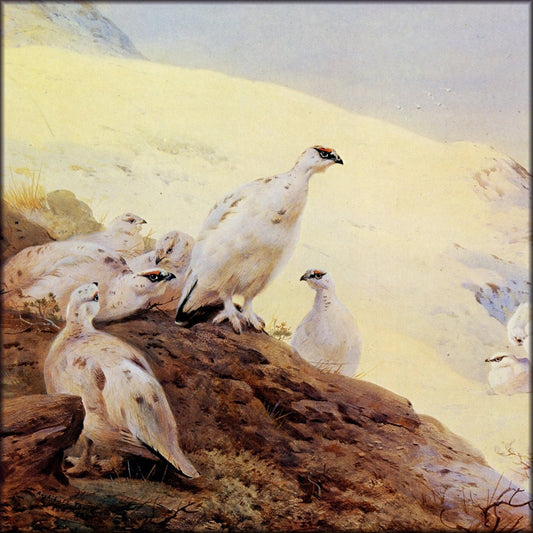 Digital Download - 1 image