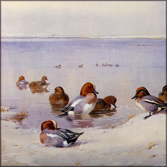 Digital Download - 1 image