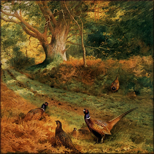 Digital Download - 1 image