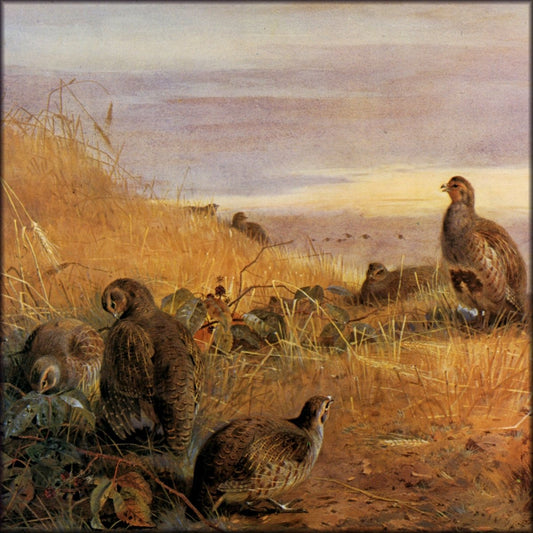 Digital Download - 1 image