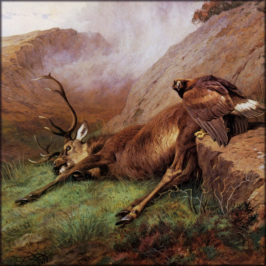 Digital Download - 1 image