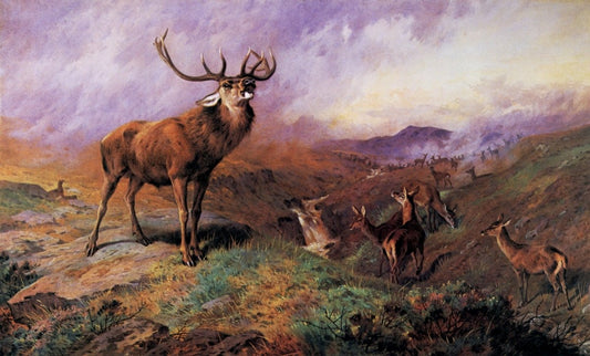 Dimensions 6615 x 3996 pixels