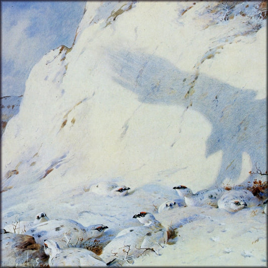 Digital Download - 1 image