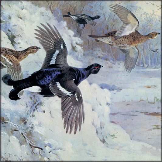 Digital Download - 1 image